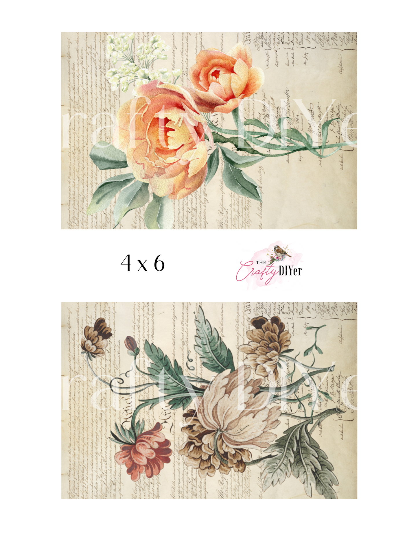 Botanical and Birds Printable Set